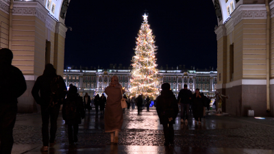 В Петербурге украсили и осветили к Новому году около 700 адресов