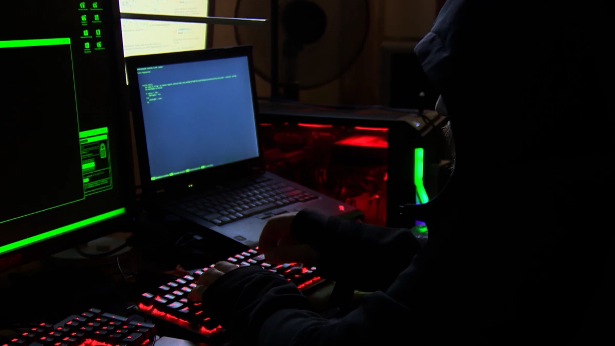 Ловушка для меломанов: мошенники массово создают фейковые сайты по продаже билетов - tvspb.ru