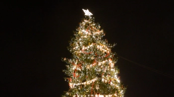 Главную елку города дополнительно укрепили из-за сильных порывов ветра