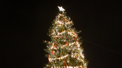 Главную елку города дополнительно укрепили из-за сильных порывов ветра