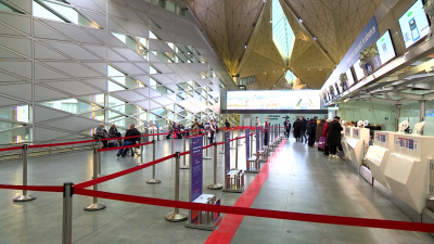 Пулково вернулся к работе в штатном режиме