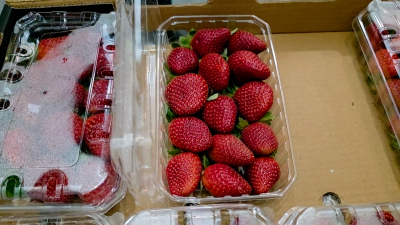 В Петербург из Египта привезли свежую клубнику — 15 тысяч упаковок