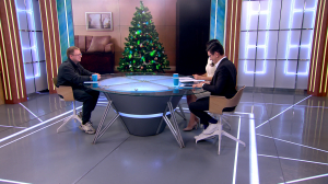 Как правильно выбрать безопасную искусственную ёлку?