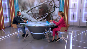 Бёрдвотчинг или наблюдение за пернатыми в живой природе: начинается зимний сезон орнитологических экскурсий