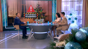 Когда новогодняя суета превращается в сезон афер. Как не дать мошенникам испортить праздник