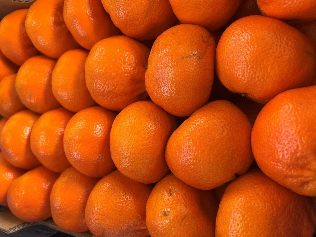 С начала года в Петербург ввезли более 126 тысяч тонн импортных мандаринов - tvspb.ru