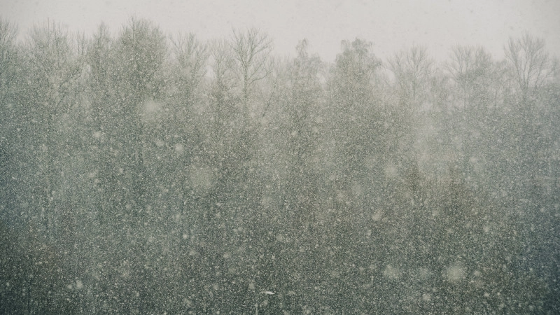 Снег и сильный ветер: жителям Ленобласти рассказали о погоде 27 декабря - tvspb.ru