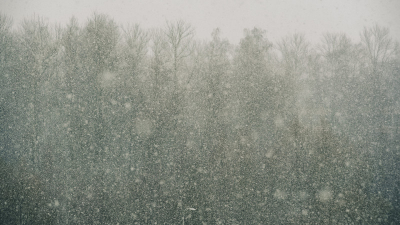 Снег и сильный ветер: жителям Ленобласти рассказали о погоде 27 декабря