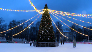 Зима вокруг одной отдельно взятой ёлки: на Елагином острове открылся каток
