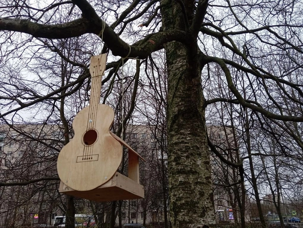 В сквере Виктора Цоя повесили кормушки и скворечники в виде гитар - tvspb.ru