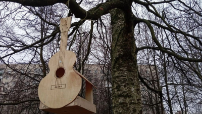 В сквере Виктора Цоя повесили кормушки и скворечники в виде гитар