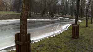 Бобры vs деревья в парке «Екатерингоф»