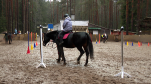Ведущий программы «Дикие выходные» Павел Глазков представляет репортаж о пользе общения с животными и волшебстве иппотерапии