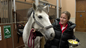 Четвероногий Каприз на Императорской ферме в Царском