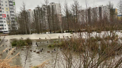 Во Всеволожске разлилась неустановленная жидкость: в воздухе нашли хлор и аммиак