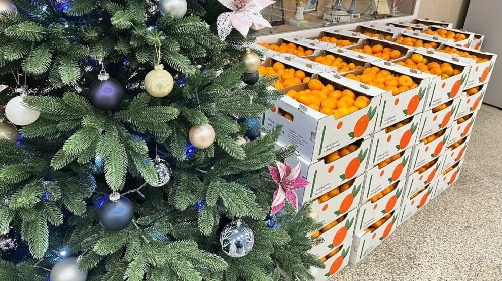 Александр Беглов: Петербург с благодарностью принимает подарок из Абхазии — 10 тонн мандаринов для социальных учреждений - tvspb.ru