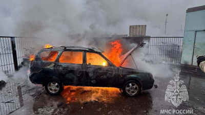 В Ленобласти сгорел легковой автомобиль