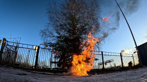 Ёлочка, не гори! Главные правила яркого, но безопасного праздника