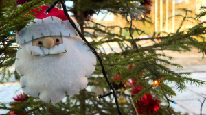 Ёлочка, не гори! Главные правила яркого, но безопасного праздника