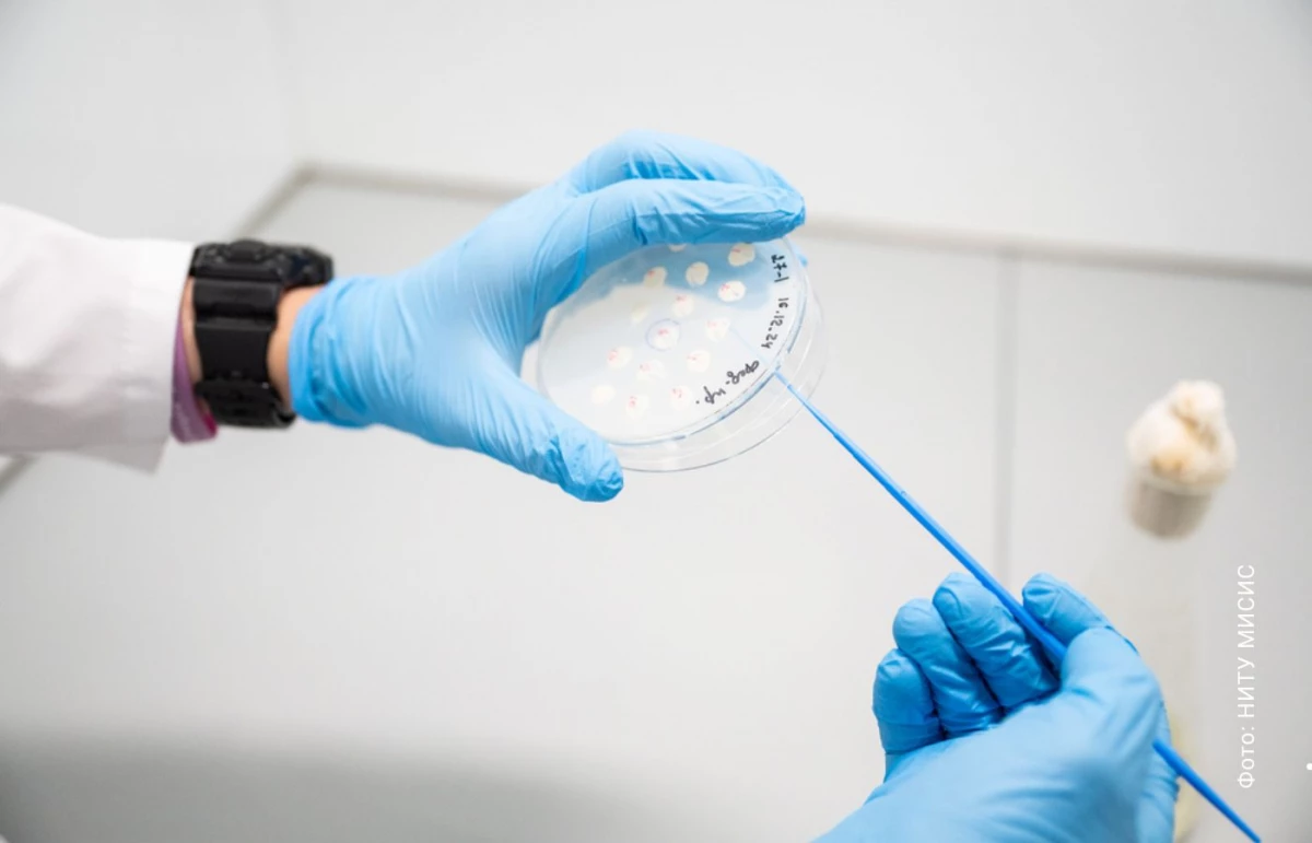 Студенческий стартап-миллионер: молодой ученый победил кариес особым гелем - tvspb.ru