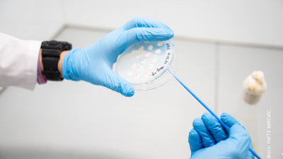 Студенческий стартап-миллионер: молодой ученый победил кариес особым гелем