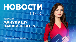 Новости Петербурга к 11:00