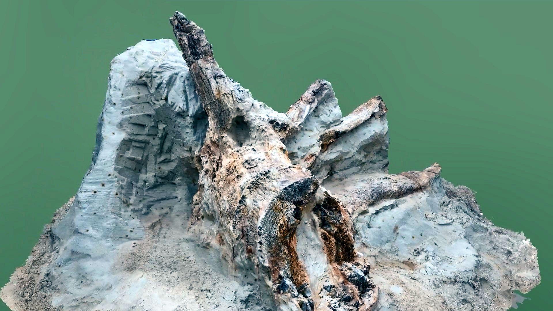 Пень веков. Загадка из девона: древняя находка в карьере под Петербургом