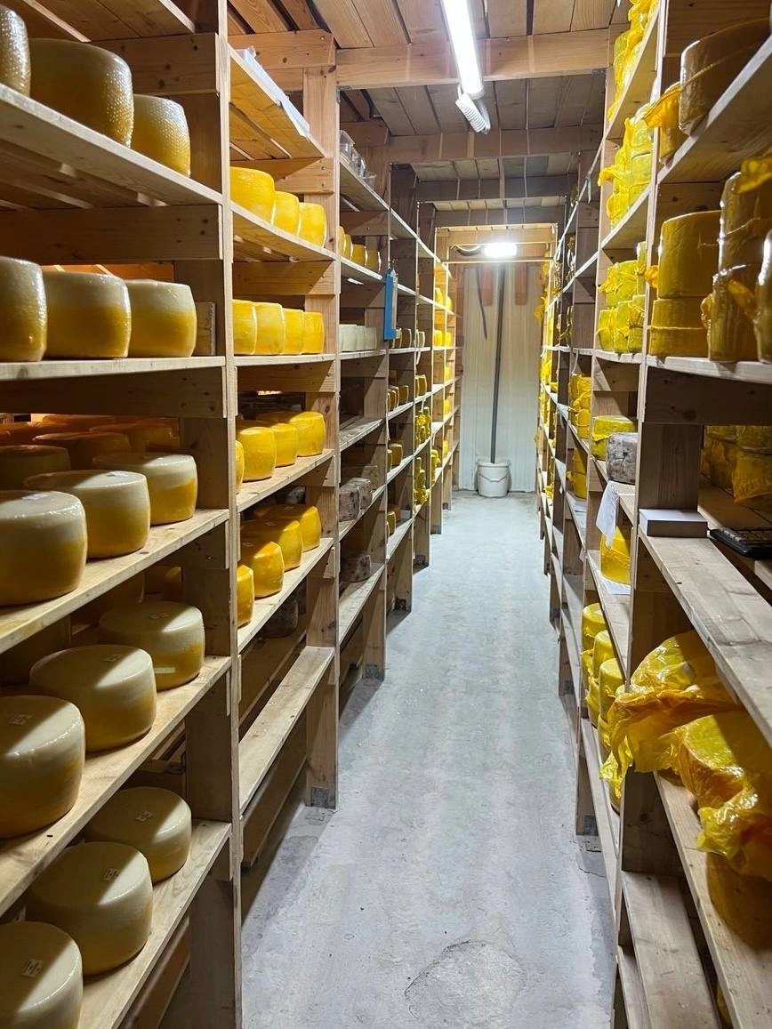 В Адмиралтейском районе изъяли почти 2 тонны «безымянного» сыра - tvspb.ru