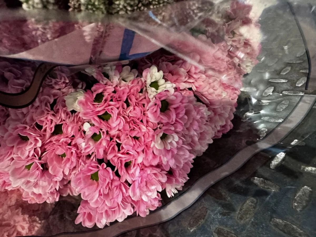 В Петербурге сожгут 680 гвоздик и хризантем — в них нашли опасного вредителя - tvspb.ru