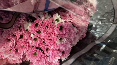 В Петербурге сожгут 680 гвоздик и хризантем — в них нашли опасного вредителя