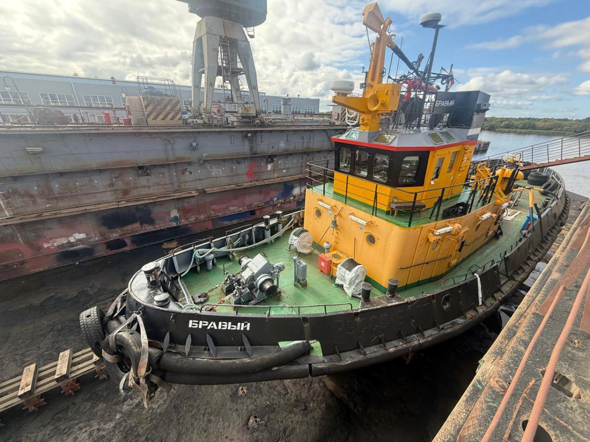 В Ленобласти будут судить капитана буксира за ДТП в порту Приморск - tvspb.ru