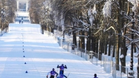 В Приморском парке Победы появится лыжня