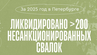 Александр Беглов: За этот год мы ликвидировали в Петербурге более 200 несанкционированных свалок