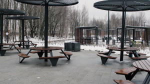 Сенсорный сад на берегу родникового озера, общественный огород в Кронштадте и ожившая сказка в Зеленогорске. Новые общественные пространства Санкт-Петербурга