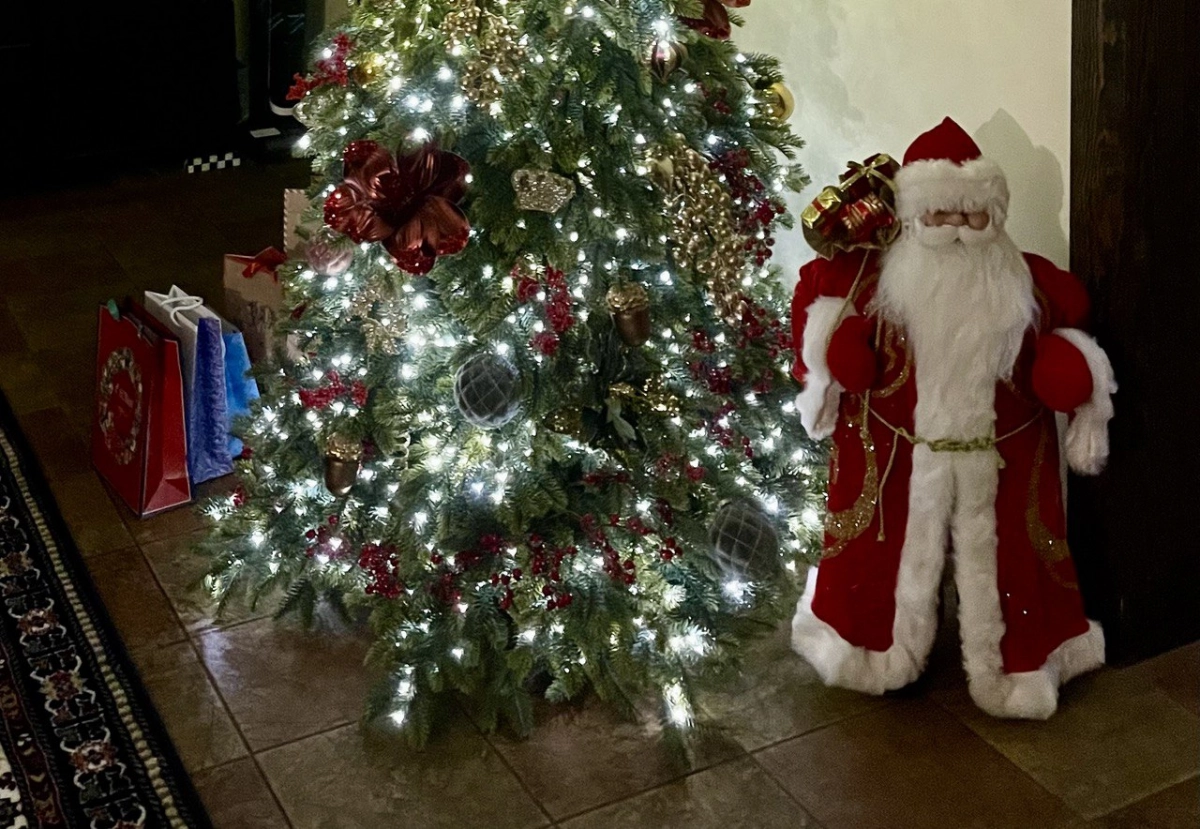 Сам себе Дед Мороз: каждый шестой петербуржец сделает подарок самому себе - tvspb.ru