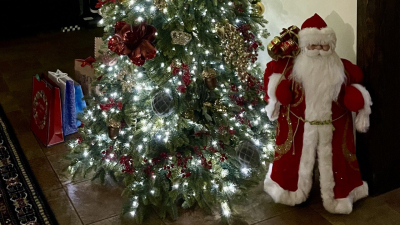 Сам себе Дед Мороз: каждый шестой петербуржец сделает подарок самому себе