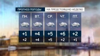 Погода в Петербурге пока не позволяет перейти на зимние виды спорта: температуры – преимущественно плюсовые