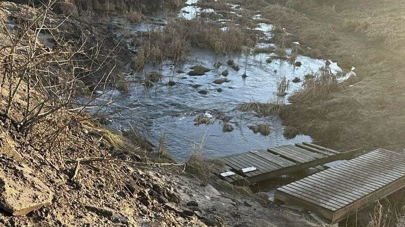 Росгвардейцы спасли мальчика, упавшего в Утку - tvspb.ru