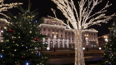 Желание быть в этой красоте: Елена Тихомирова о новогоднем убранстве Петербурга
