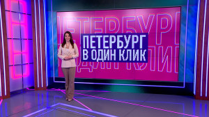 В один клик: день рождения Хаарчааны, пол-моста уже на картине, лиса путешественница и специальная ёлка для котиков — о чём рассказывали петербуржцы в соцсетях