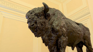 Зубры с Литейного вернулись на место: итоги реставрации вестибюля дома Пашкова