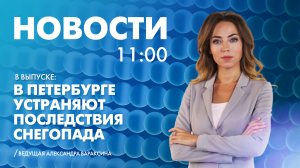 Новости Петербурга к 11:00
