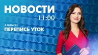 Новости Петербурга к 11:00