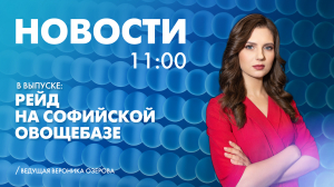 Новости Петербурга к 11:00