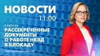 Новости Петербурга к 11:00