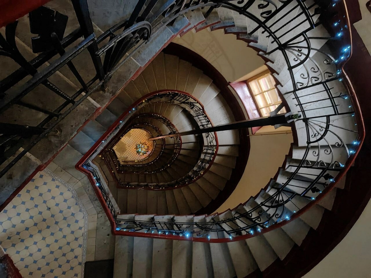 Новогоднее оформление подъездов в Петербурге продлится до 22 января по просьбе горожан - tvspb.ru