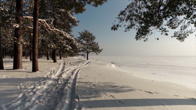 До −26 в области и −15 в городе: в Петербург пришли крепкие морозы