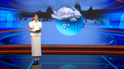 Небо затянут облака, но осадки не ожидаются: какая погода ждет Петербург 16 января