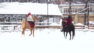 Верхом на символе года: в Ленинградском зоопарке прошло конное шоу