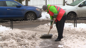Уборка внутриквартальных территорий Приморского района
